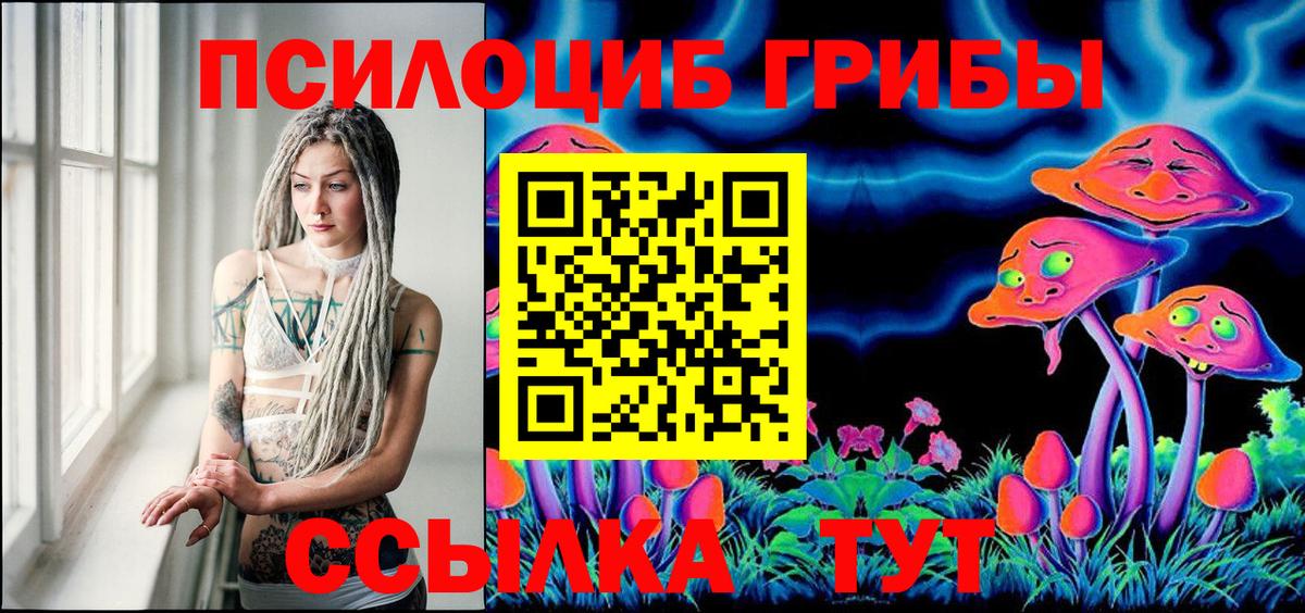 Севастополь  Псилоцибиновые грибы Psilocybe  Вход с VPN 
